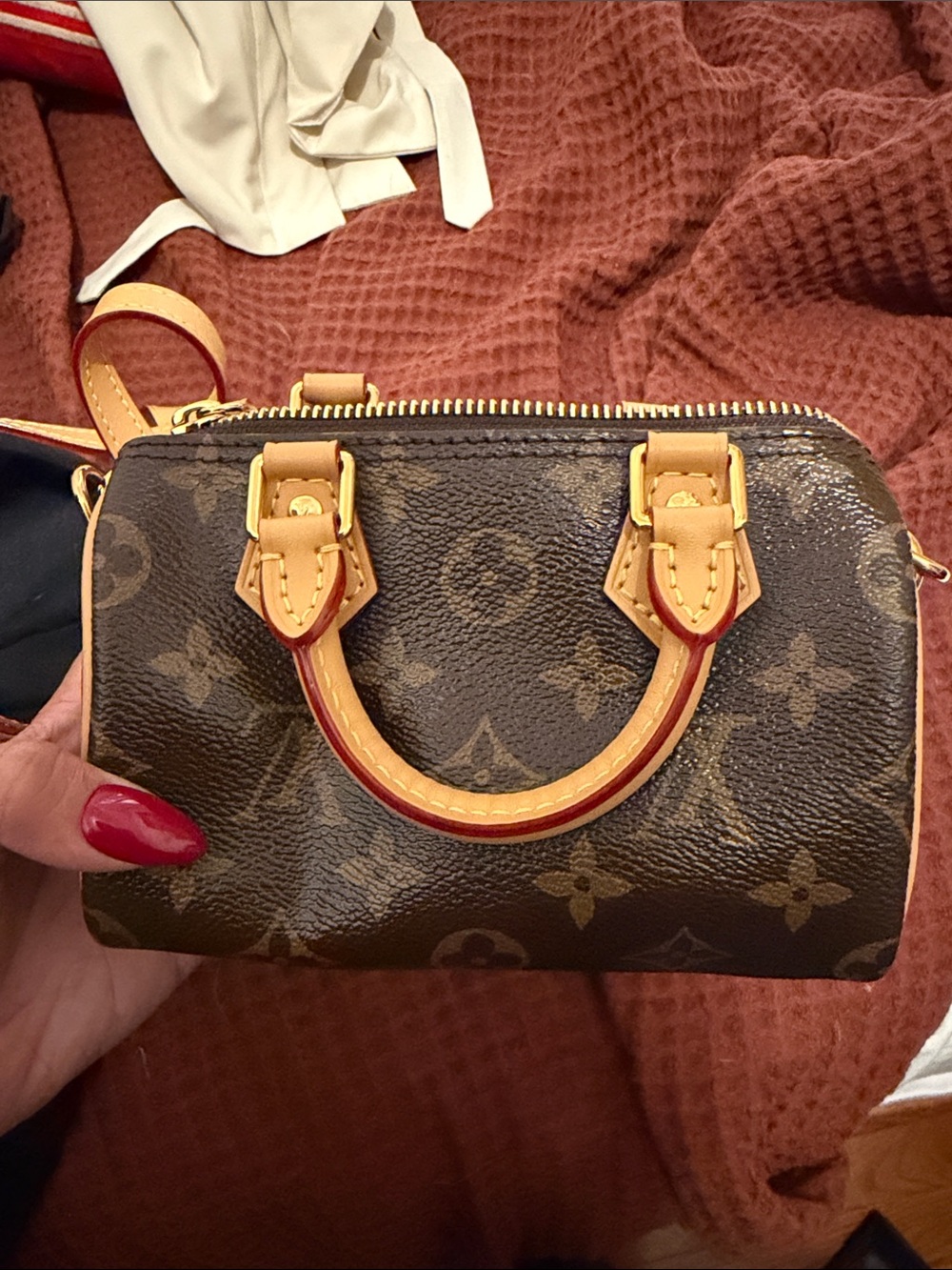 Louis Vuitton Nano Speedy
